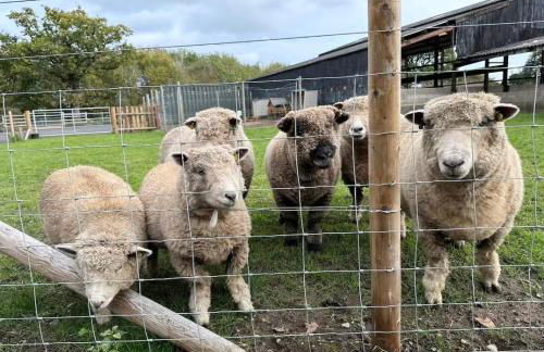 Oak View at Moss Bank Farm - Foto 24