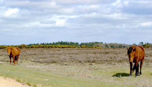 The Old Post Office - Foto 4