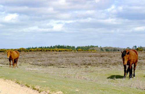 The Old Post Office - Foto 4