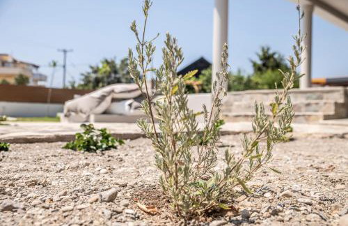 Avli Guest House - Foto 20