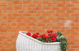 Home From Home Northampton - Photo 23