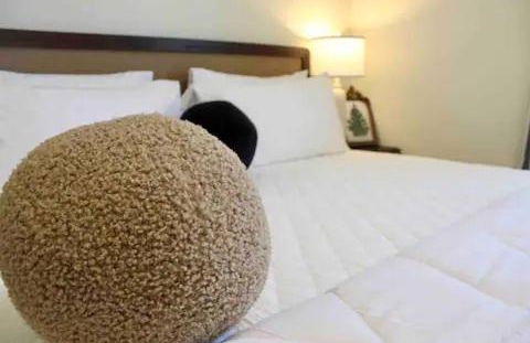 Stylish Cozy Family Cottage with Golf Cart - 1 mile to Dwntn Ocean Springs and beach - Foto 39