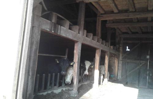 Kreuzdellenhof - Ferienwohnung - Foto 9