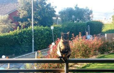 La Dacha Montanya - Foto 13