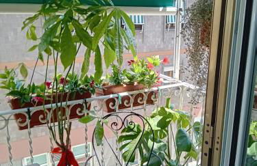 Casita Jolanda - Foto 37