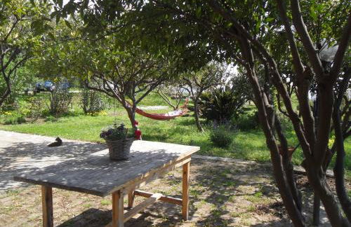 Locazione Turistica Casa in Campagna - Foto 18