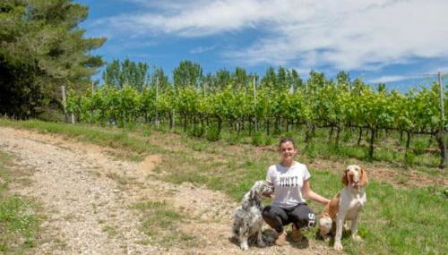 Fattoria Uccelliera - Foto 5