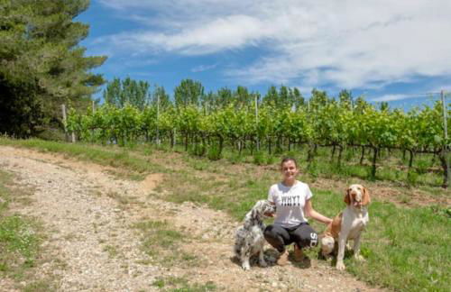 Fattoria Uccelliera - Foto 5