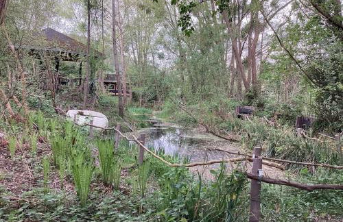 Eyes Ferienhaus im Nationalpark Eifel - Foto 43