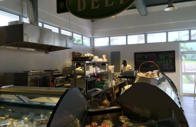 Ocho Rios Villa at The Palms - Foto 48