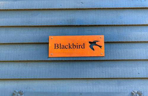 Blackbird Cabin - Foto 20