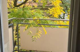 Modernes Apartment mit 3 Zimmern - Foto 2