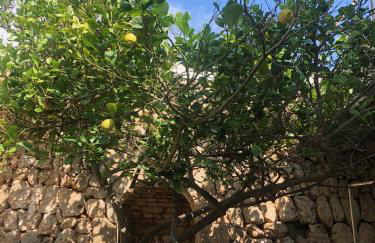 Splendide Villa les pieds dans l'eau dans la baie de Mahon - Foto 21