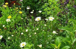 Zur alten Schreinerei - Foto 10