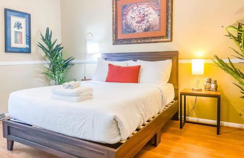 Near Space Center- Mahan Splashdown - Foto 16