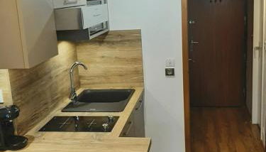 Grand Studio 25 m2, lumineux, central, vue Mont-Blanc - Photo 5