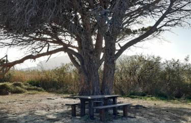 Casa Vacanze da Claudio&Kevin - Foto 15