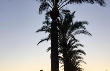 Zeer trendy penthouse op de Mar Menor Golf & Padel Resort - Foto 6