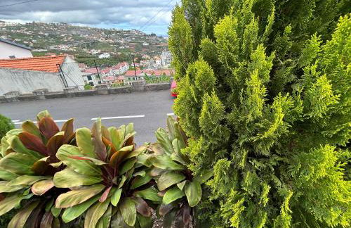 Vila Pico da Torre Apartment - Photo 53