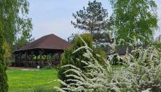 DOMKI w Zaciszu - Foto 5, Garden, Garden view