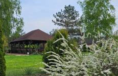 DOMKI w Zaciszu - Foto 5