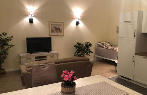 Ferienapartments Reitanlage Schenksolz - Photo 2