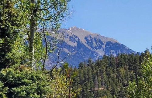 Secluded Mtn home by Purg, Hot Tub, Views! Pets ok - Foto 50