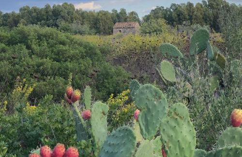 Domus Deiana Case Vacanza - Foto 70