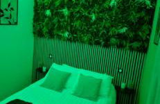 L'Hortillon - Photo 25