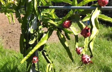 Ideal Villa in Vila Nova de Famalicão with Private Pool - Foto 79