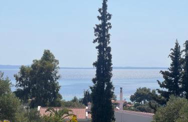 Country Vila - Foto 45