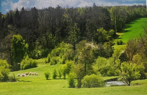 chez Émile côté face maison entière, 3 chambres, 2 salles de bains,jardin et terrasse - Foto 57