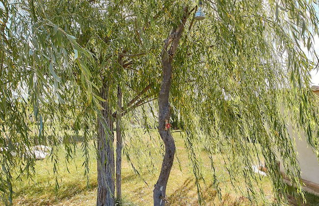 Podere San Giuseppe - Photo 31