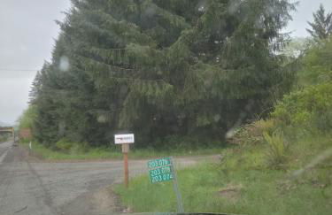 A Relaxing Getaway-A Backwoods Cabin SolDuc River - Foto 6