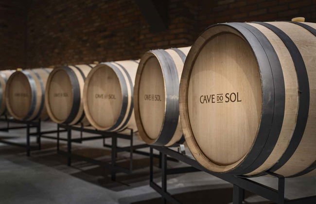 Tour del vino nel Vale dos Vinhedos - Foto 7