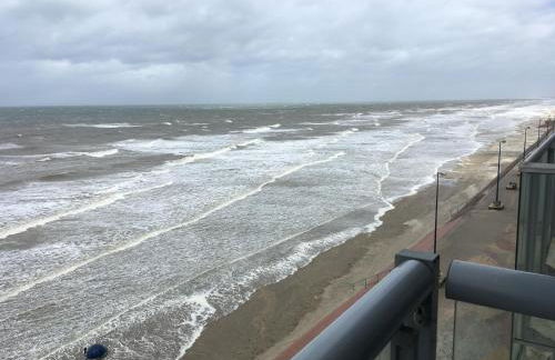 Entre dunes et mer - Foto 5