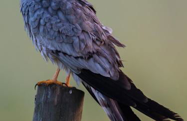 Fontes Bárbaras Enoturismo - Foto 65