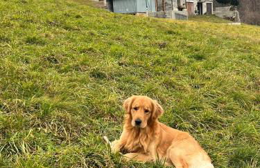 Il Nido Del Colibrì - Foto 24