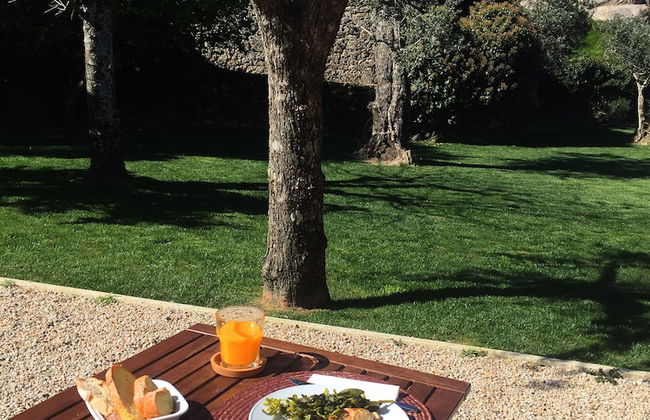 Pedra Nova - Turismo d'aldeia - Photo 72