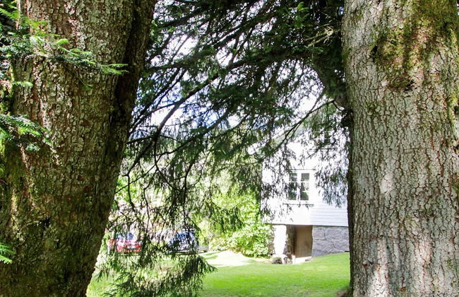 8 Person Holiday Home in Kvas - Foto 23