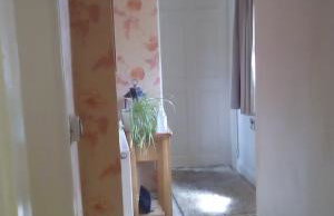 courtyard cottage - Foto 25