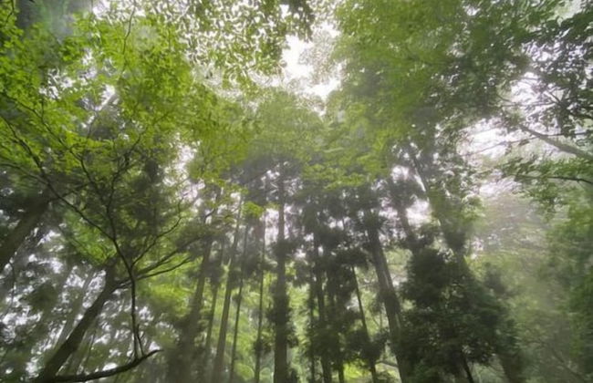 ThinkStay Mt. - Foto 70