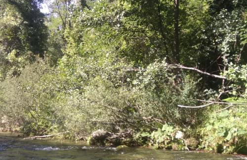 la masseria di Antonio e Teresina - Foto 15