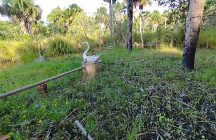 Sitio Santo Antonio - Photo 6