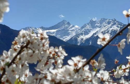 Le Petit Coq - Ampio e luminoso appartamento con vista - Foto 15
