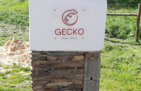Gecko Pego Longo - Foto 10