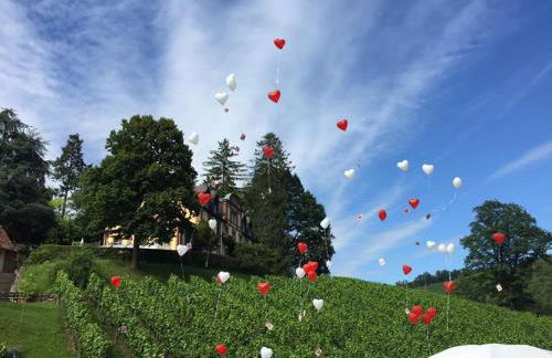 Wein Lodge Durbach - Josephsberg 2 - Foto 18