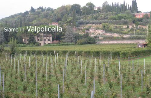 Agriturismo Terra E Sole - Foto 43