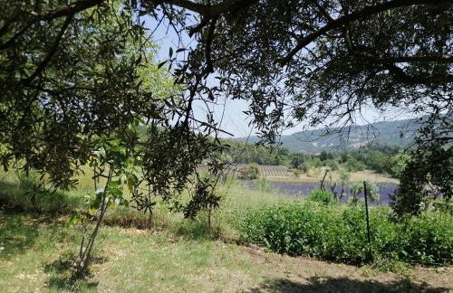 Maison de vacances avec piscine privative, Oustau des Oliviers vue dominante Colorado provençal - Foto 37