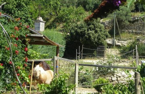 Cozy Vacation House With Pool, Vernegues - Foto 50